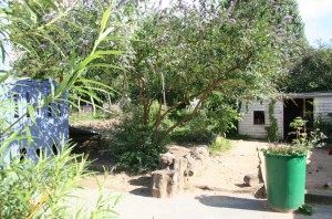 Einblick in den Garten der Kita